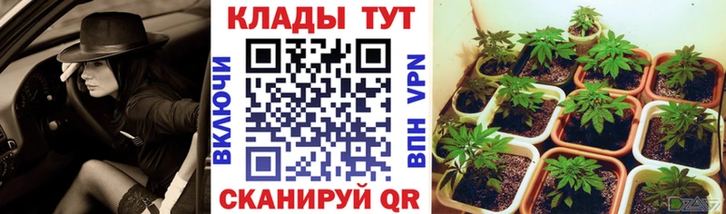 Магазин наркотиков Аша A PVP  КОКАИН  ОМГ ОМГ как зайти  Конопля  Меф мяу мяу 