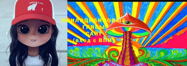 ПСИЛОЦИБИНОВЫЕ ГРИБЫ Арсеньев
