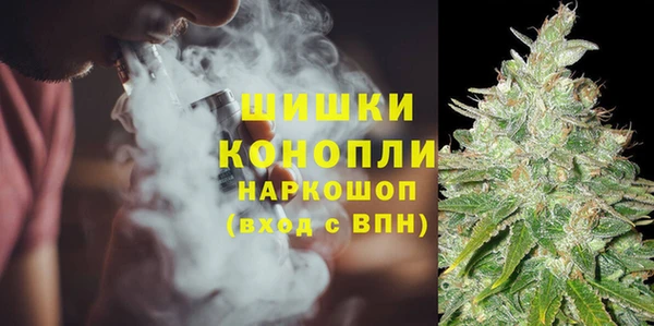 ПСИЛОЦИБИНОВЫЕ ГРИБЫ Арсеньев