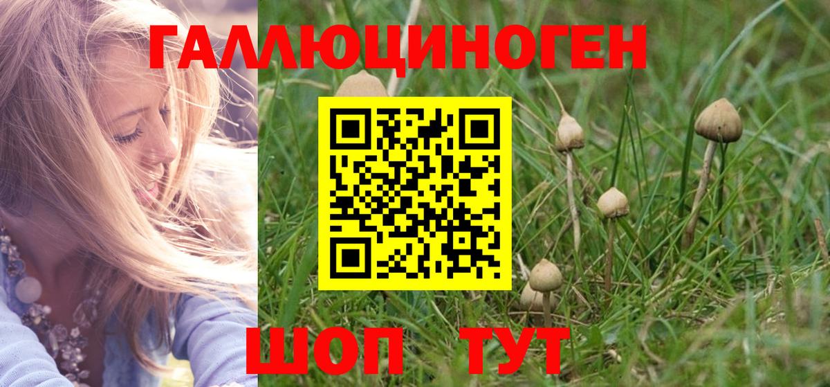Аша  Псилоцибиновые грибы Cubensis  Вход с VPN 